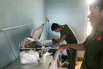 Ngâm hổ trong bể rượu, một người bị phạt 75 triệu đồng