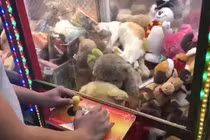 Video: Đang chơi gắp thú bông, sốc vì thấy con vật còn sống bên trong