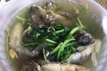 Hốt hoảng bát canh cá rô nguyên con 1-0-2 của vợ trẻ