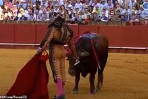 Video: Đấu sĩ lau mắt cho bò tót rồi ra đòn cuối