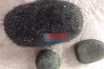 Lại phát hiện “cát lợn” tại một gia đình ở Kỳ Anh