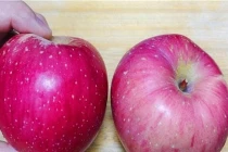 Phân biệt các giống táo ngon và 4 cách để mua trúng quả giòn