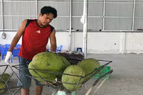 Đang rẻ rề, giá mít Thái miền Tây lại tăng vọt, dân phấn chấn