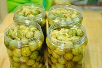 Phát hờn vì... thèm khi về làng sấu 2000 cây ở Hưng Yên