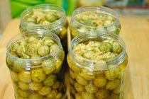 Phát hờn vì... thèm khi về làng sấu 2000 cây ở Hưng Yên