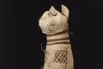 Xác ướp mèo Ai Cập cổ đại có 5 chân sau và 3 đuôi