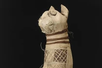 Xác ướp mèo Ai Cập cổ đại có 5 chân sau và 3 đuôi