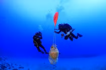 Tàu ma 1.800 tuổi chở kho báu xuất hiện gần bờ biền Hy Lạp