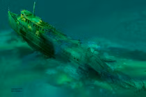 Xác tàu đắm "bị nguyền rủa" còn nguyên vẹn dưới biển Canada