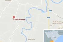 Tử vong vì bị ong đốt khi đi lấy mật