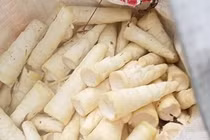 Đi tìm lộc rừng vào mùa mưa, người dân vùng núi kiếm tiền triệu mỗi ngày