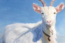 Từ 2022-2024: 4 con giáp vận trình sáng ngời, tiền của tăng gấp bội