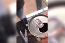 Video: Mở lon nước ngọt, sốc khi thấy sinh vật chết bên trong