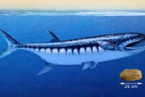 Đào được thủy quái 250 triệu năm tuổi ở… sa mạc Mỹ