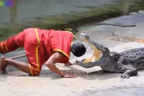 Những tai nạn thảm khốc của nghề xiếc