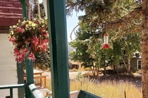 Tôi nghi bạn thân ngoại tình với chồng mình