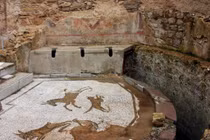 Thu thuế nước tiểu, thuế nuôi râu và trăm thứ kỳ quặc