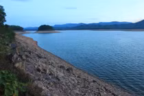 Vào rừng cắt lá rong, một người đàn ông thiệt mạng