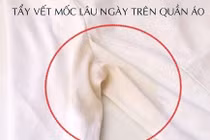 6 cách tẩy vết mốc lâu ngày trên quần áo siêu hiệu quả