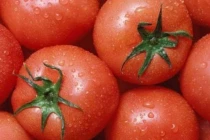 Chọn cà chua tươi ngon, mọng nước chỉ cần nhắm vào duy nhất điểm này