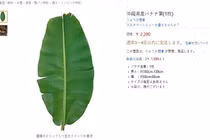 Thứ 'vứt đi' ở Việt Nam, giá đắt ở siêu thị nước ngoài