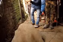 Video: Phát hiện điều bất thường, chuyên gia tới và cái kết ít ai ngờ