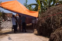 Em họ sát hại anh rồi kéo thi thể ra cổng phi tang