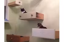 Decor nhà xinh đẹp vạn người mê bằng những ngăn kéo cũ rích