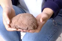 Đi dạo chơi, tình cờ vấp phải trứng khủng long 66 triệu năm tuổi