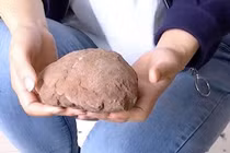 Đi dạo chơi, tình cờ vấp phải trứng khủng long 66 triệu năm tuổi