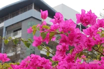 Tôi trót ngoại tình và có thai với người đàn ông đã có gia đình