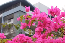 Tôi trót ngoại tình và có thai với người đàn ông đã có gia đình