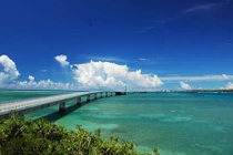 Vừa cầu hôn thành công, rơi xuống cầu thiệt mạng