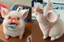 Chú "lợn ăn tiền" gây sốt: Quá yêu, chị em xếp hàng chờ mua