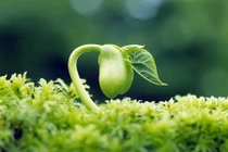 Trung tâm Nghệ thuật Lúa Non - ươm mầm tài năng nghệ thuật