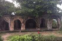 Độc nhất Việt Nam: Rễ cây ôm chặt, giữ ngôi đình không bị sập