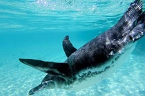 Nơi ngắm những động vật có một không hai trên trái đất