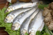 Một món ăn giàu canxi được người Nhật ưa chuộng hơn cả sữa