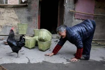 Ngôi làng kỳ lạ, không ai biết đi đứng, chỉ có thể bò bằng 4 chi