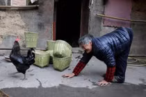 Ngôi làng kỳ lạ, không ai biết đi đứng, chỉ có thể bò bằng 4 chi