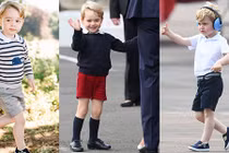 Video: Vì sao Hoàng tử nước Anh George luôn mặc quần short?