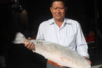 Câu được cặp cá sủ vàng "khủng" trả 1,5 tỷ chưa chịu bán