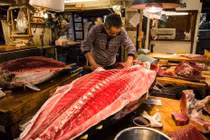 Video: Người Nhật xẻ thịt cá ngừ khổng lồ giá 11.000 USD như thế nào?