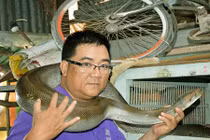 Trang trại nuôi trăn "khủng" đột biến độc lạ ở xứ Đất Mũi