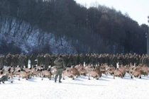 Hàng trăm lính thủy đánh bộ Mỹ - Hàn tập trận giữa thời tiết âm 20 độ C