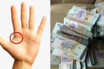 Tướng bàn tay chôn tiền, cả đời chẳng bao giờ lo nghèo đói