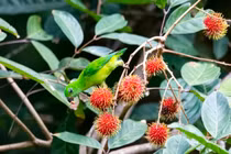 Sinh vào 5 ngày Âm lịch này “mát tay” kiếm tiền, một đường thuận lợi