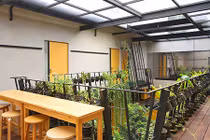 Nhà trọ như ốc đảo xanh gây sốt vì thiết kế thân thiện với môi trường