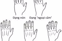 Nhìn dáng bàn tay đoán năng khiếu, tính cách