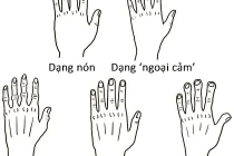 Nhìn dáng bàn tay đoán năng khiếu, tính cách